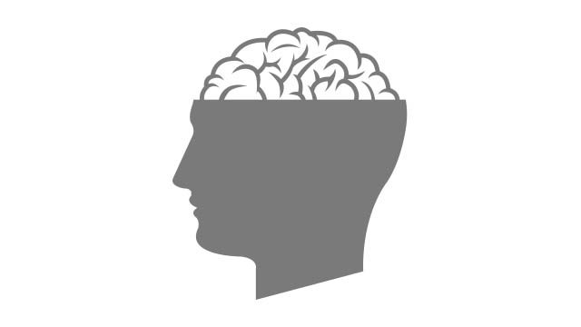 brain